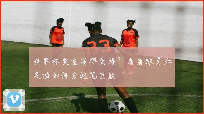 世界杯奖金高得离谱？看看球员和足协如何分这笔巨款