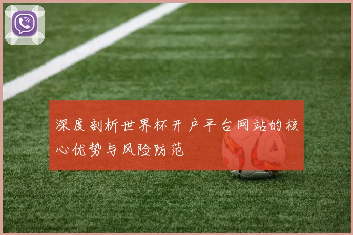深度剖析世界杯开户平台网站的核心优势与风险防范